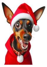 dog pinscher christmas costume2