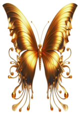 golden butterfly5