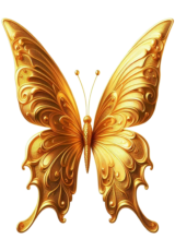 golden butterfly6