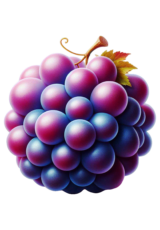 grape fruit