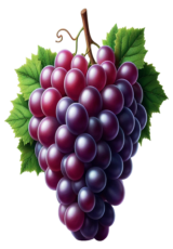 grape fruit2