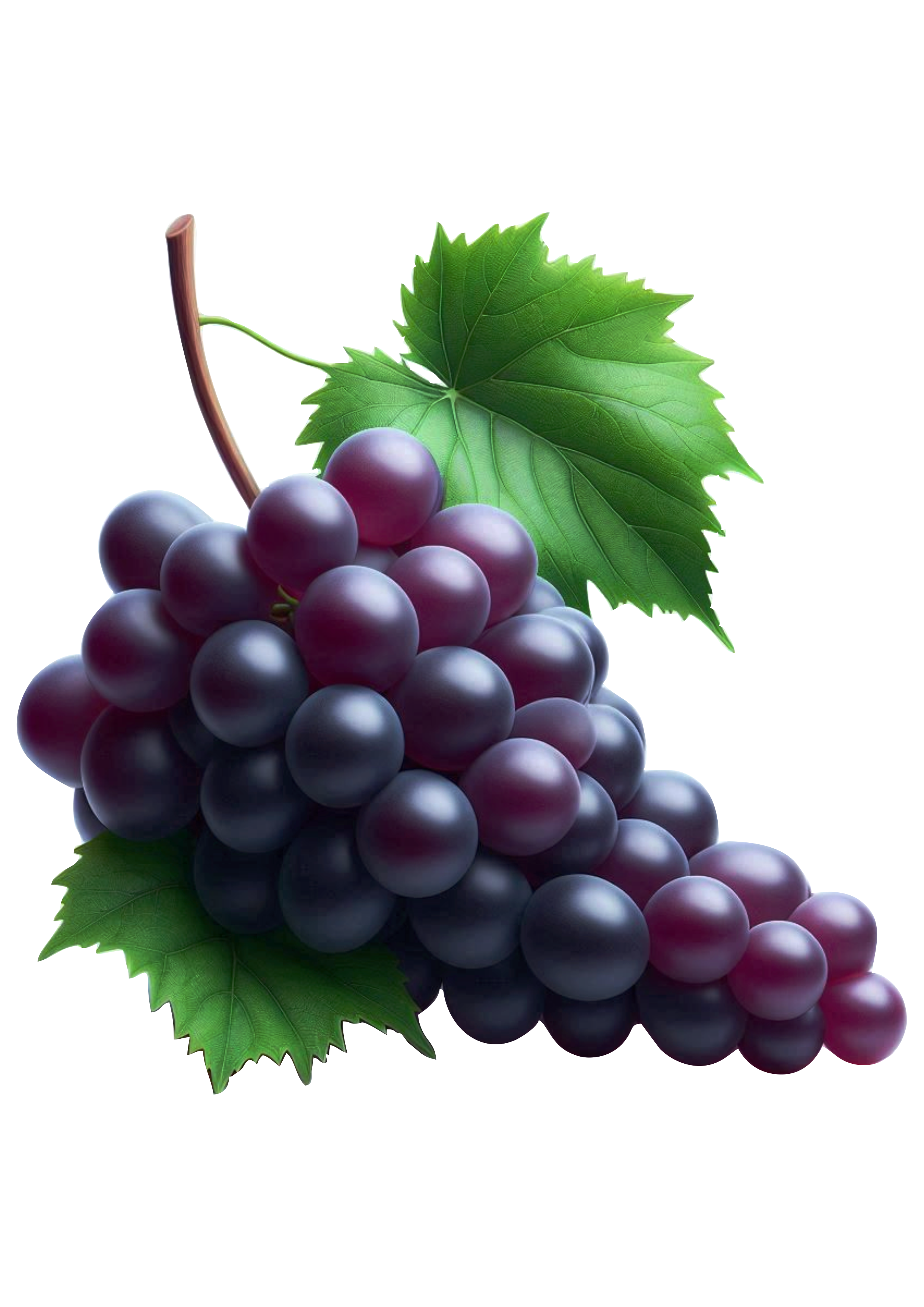 Grapes PNG Image: Perfect for Graphic Designs and Decorations