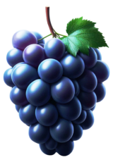 grape fruit5