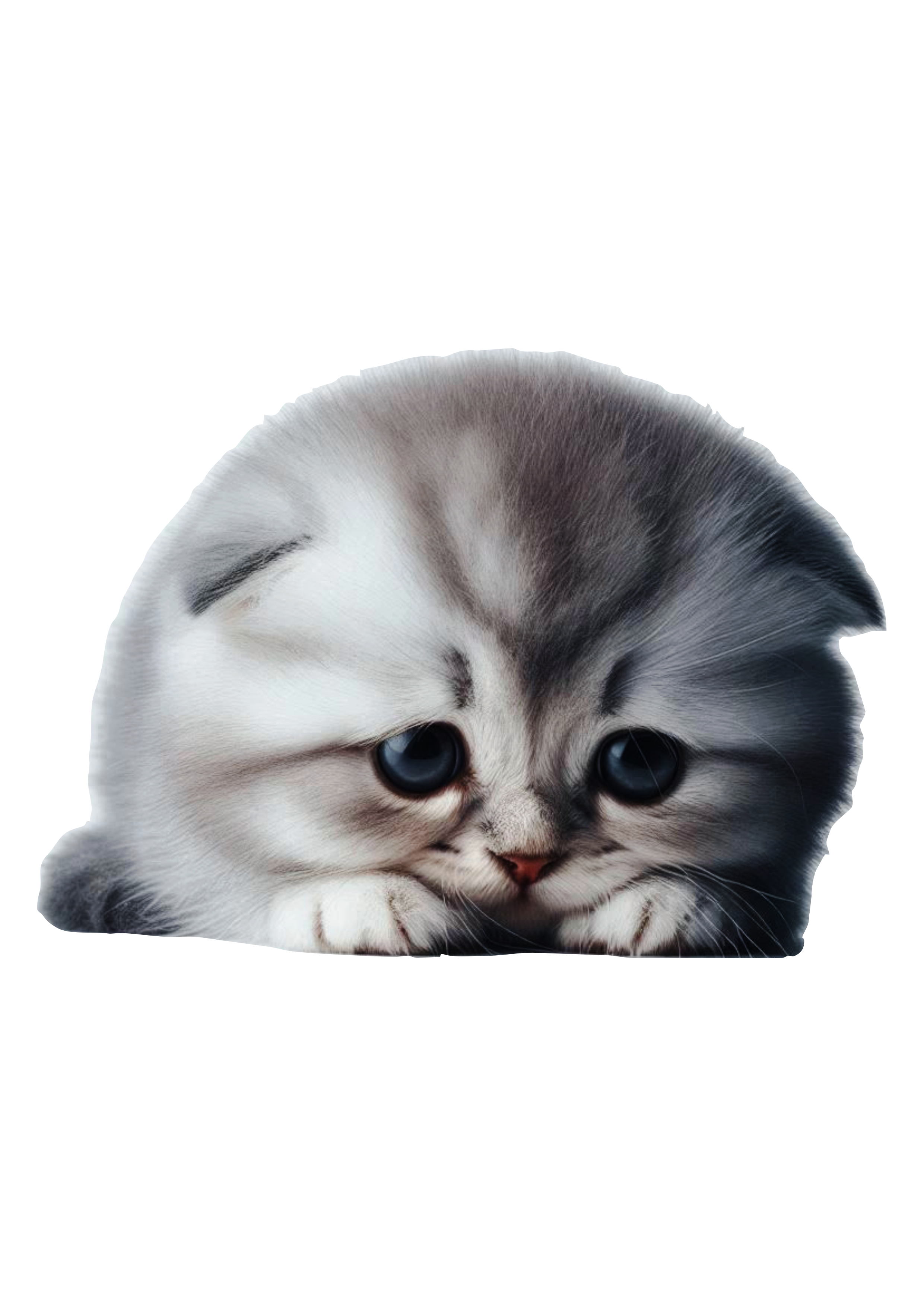 Sad Kitten Illustration: Download PNG with Transparent Background