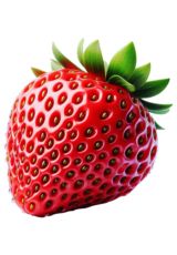 strawberry fruit2