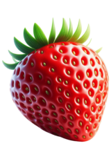 strawberry fruit3