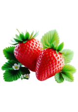 strawberry fruit6