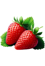 strawberry fruit7